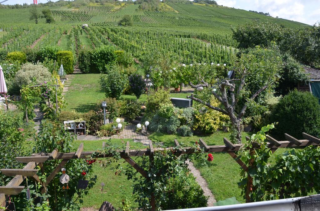 Ferienhaus Stülb Zeltingen-Rachtig Exterior foto